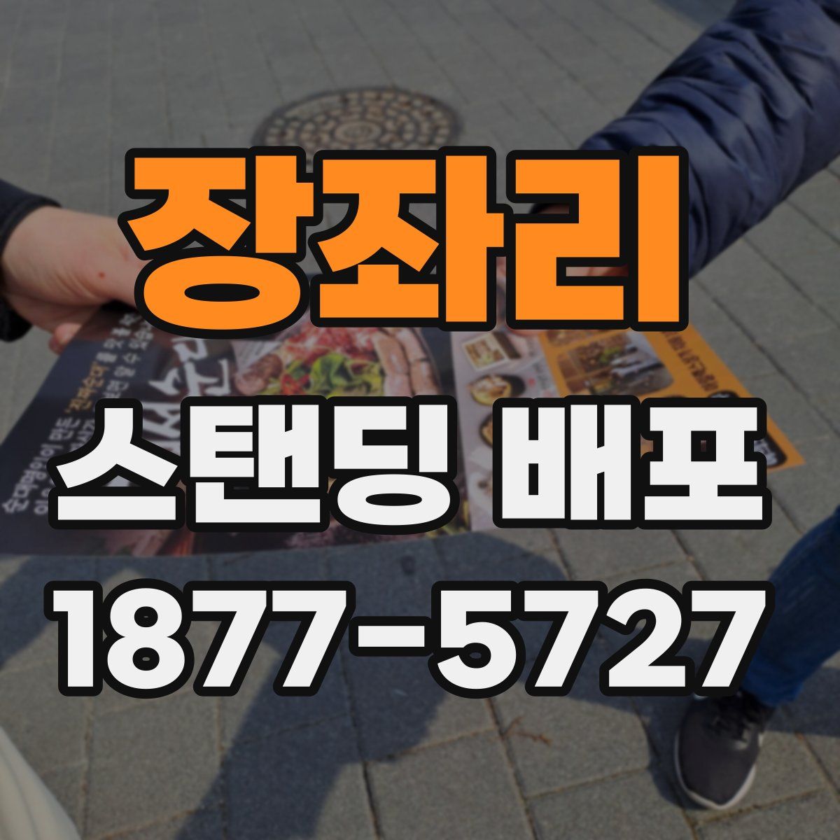 장좌리 스탠딩 배포