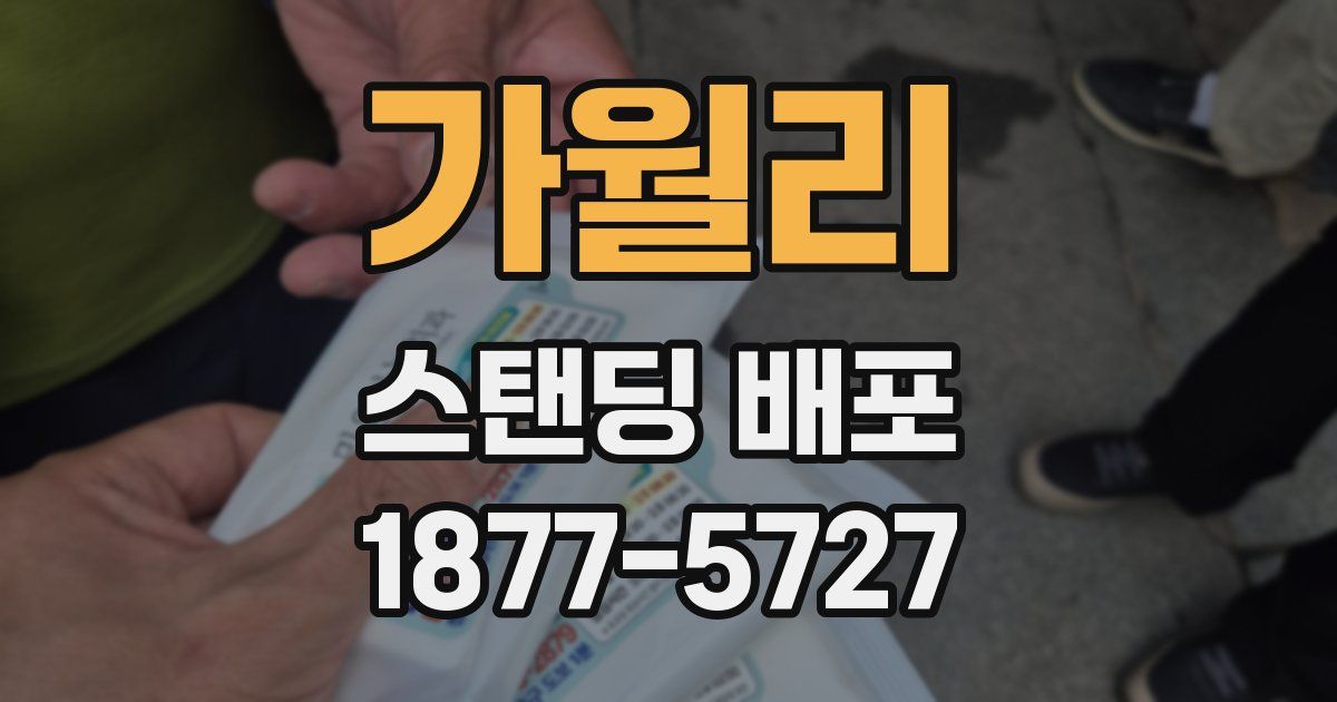 가월리 스탠딩 배포