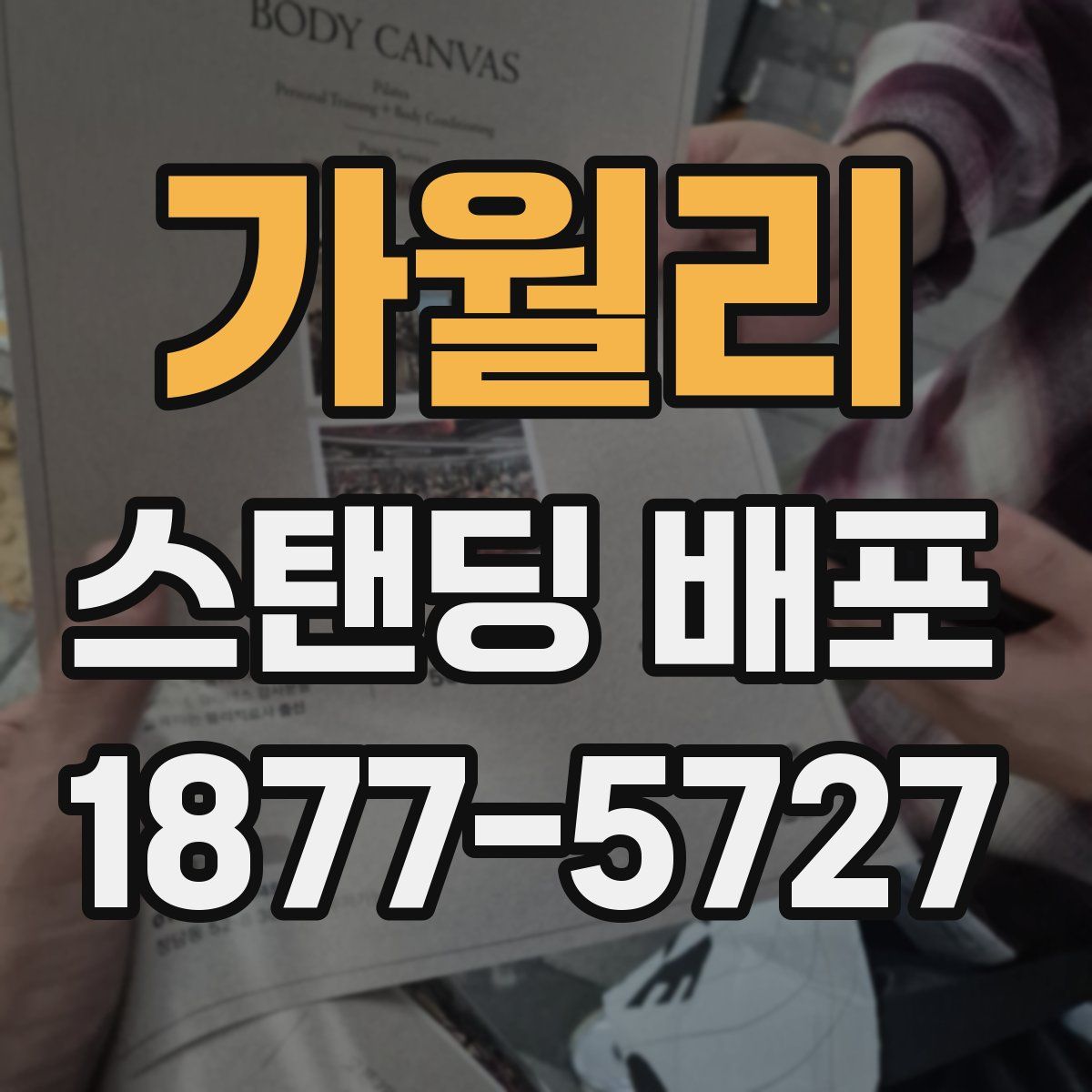 가월리 스탠딩 배포
