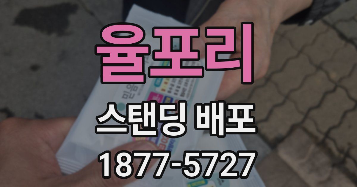 율포리 스탠딩 배포