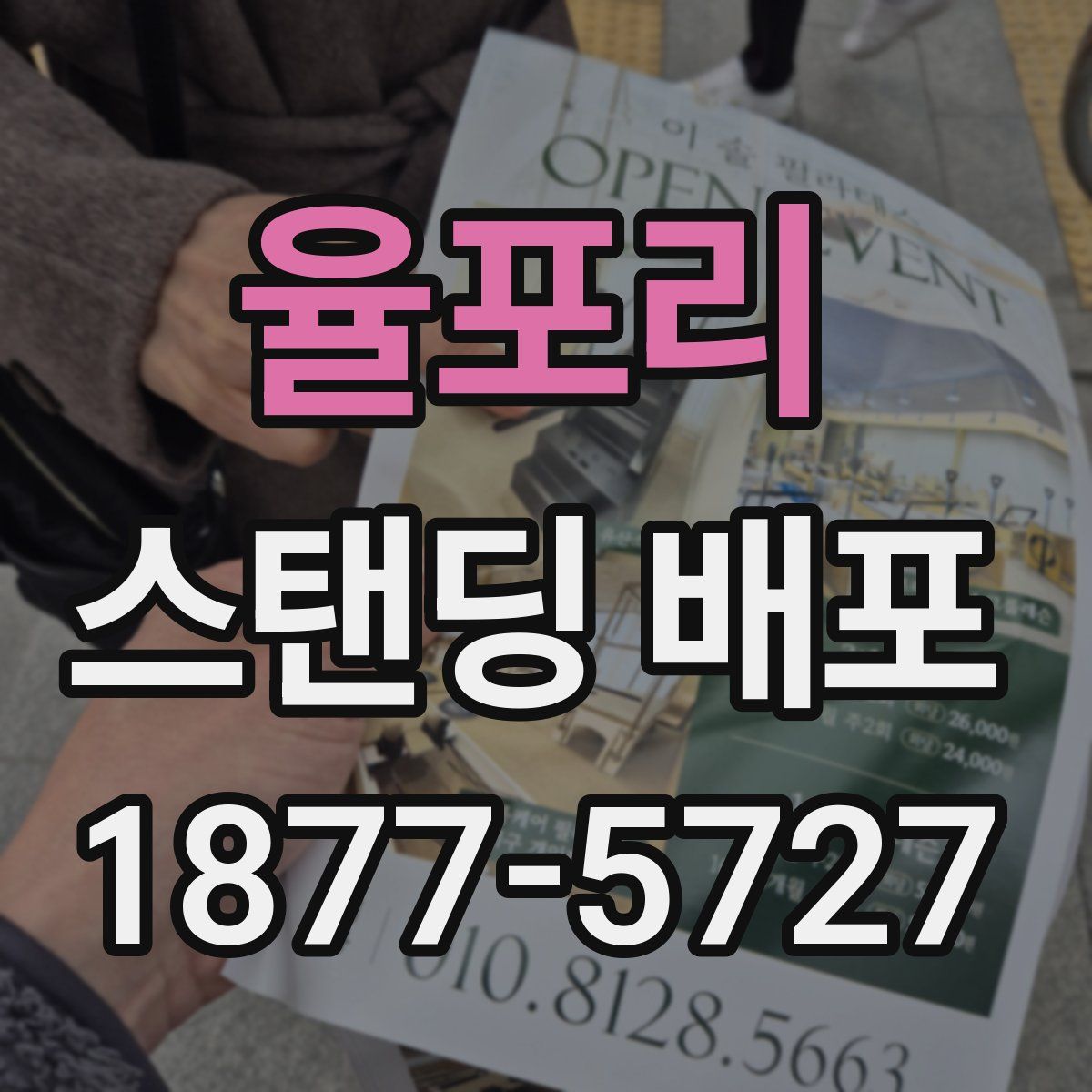 율포리 스탠딩 배포