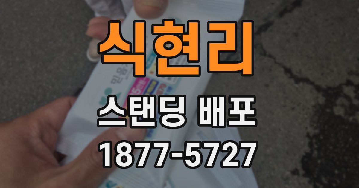 식현리 스탠딩 배포