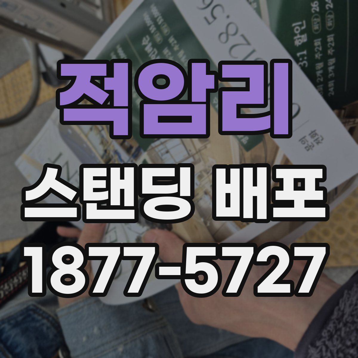 적암리 스탠딩 배포