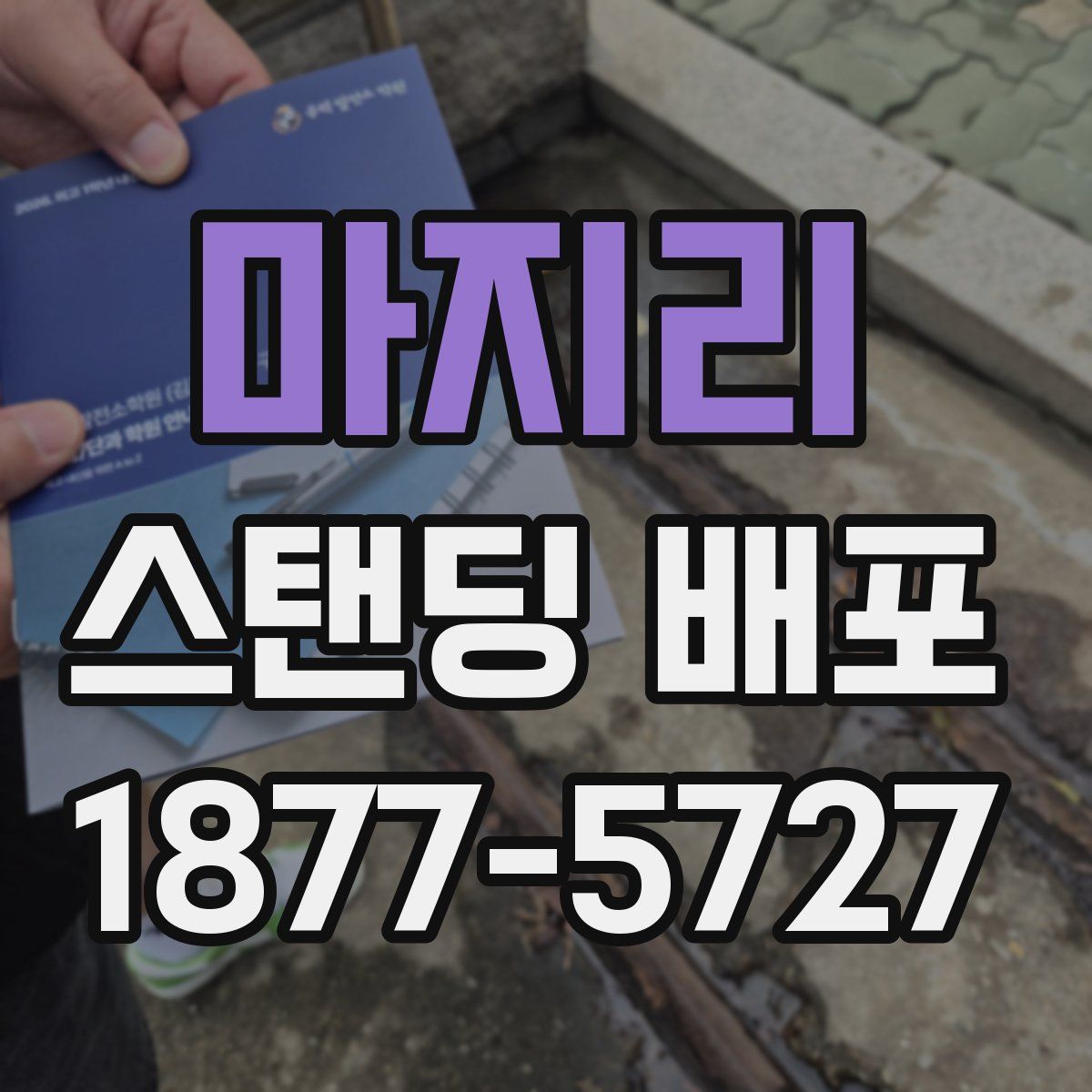 마지리 스탠딩 배포