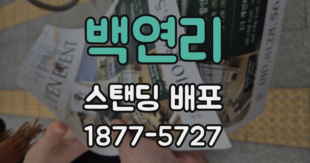 백연리 스탠딩 배포