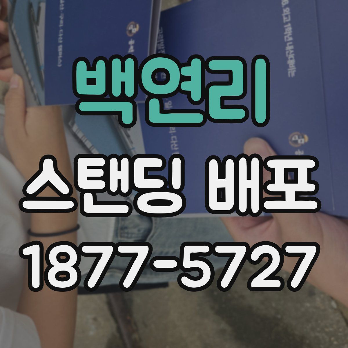 백연리 스탠딩 배포