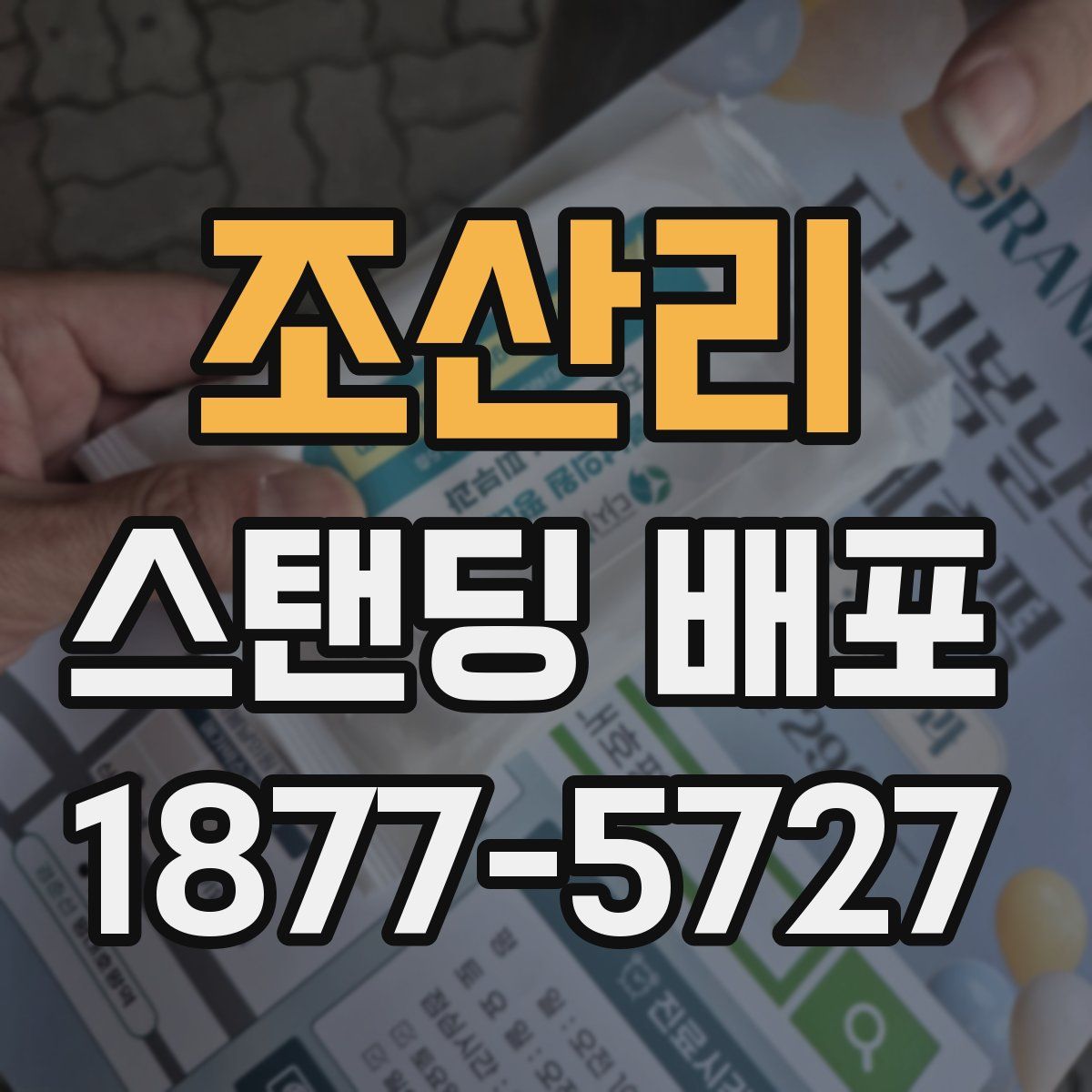 조산리 스탠딩 배포
