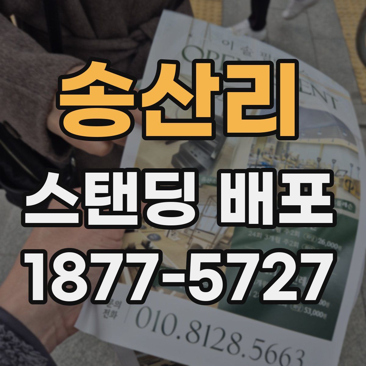 송산리 스탠딩 배포