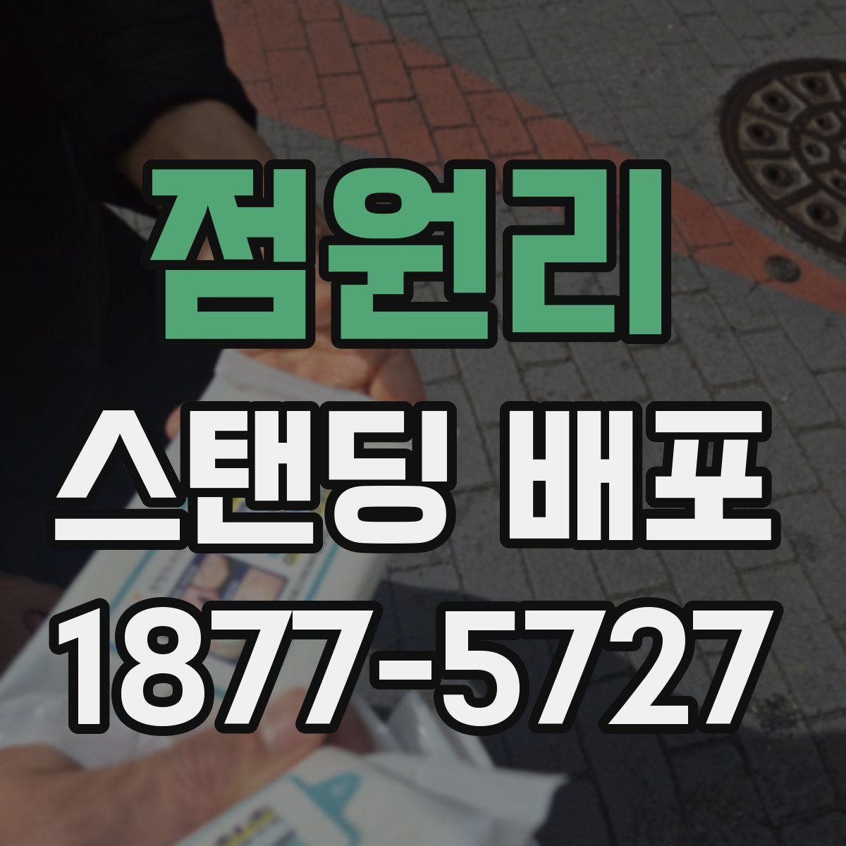 점원리 스탠딩 배포
