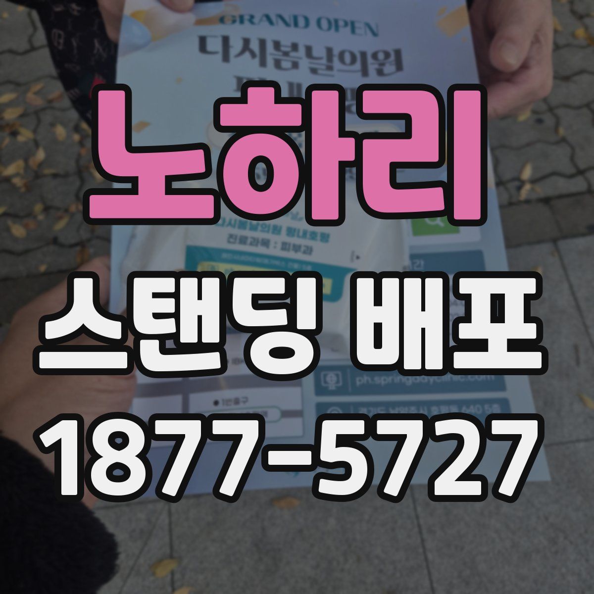 노하리 스탠딩 배포