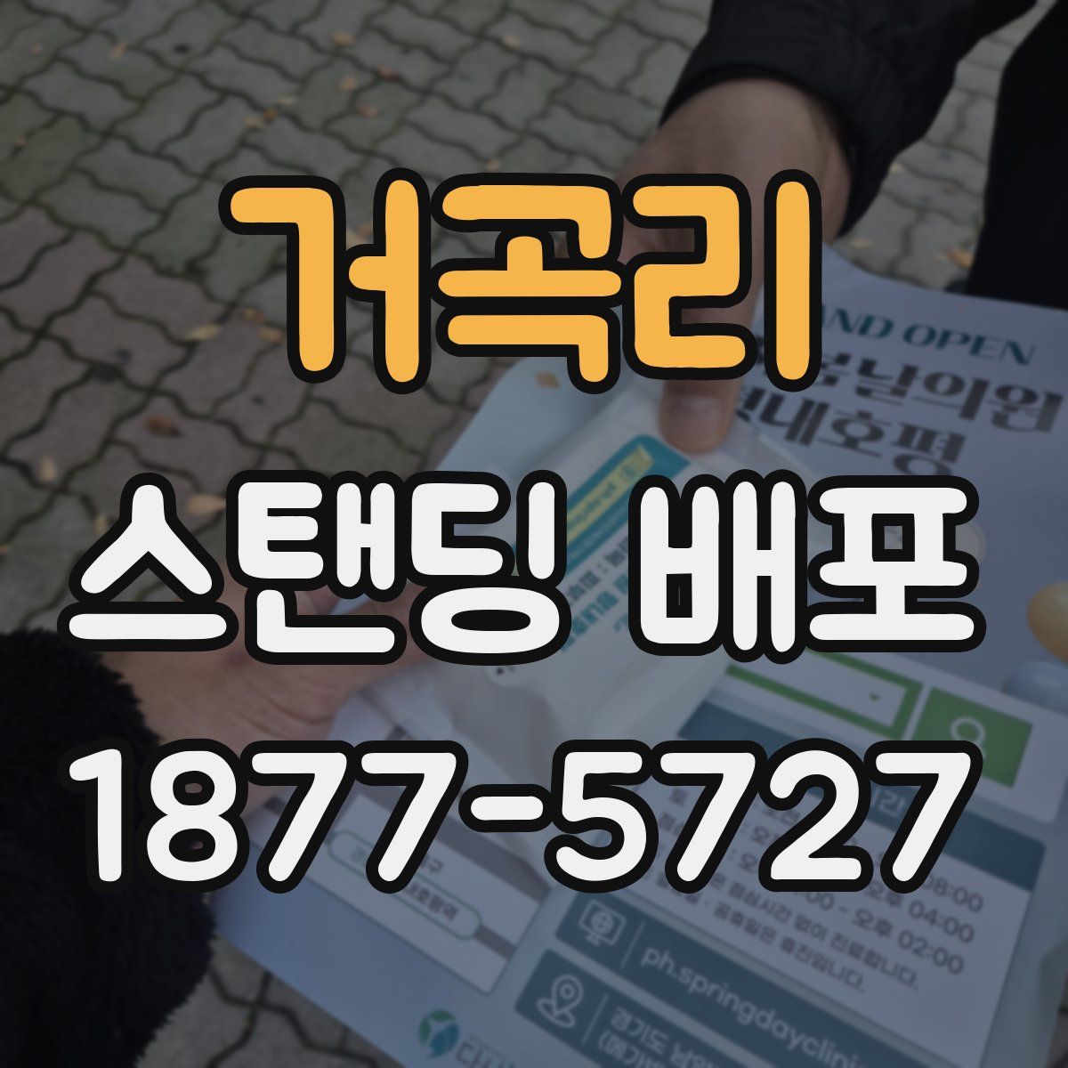 거곡리 스탠딩 배포