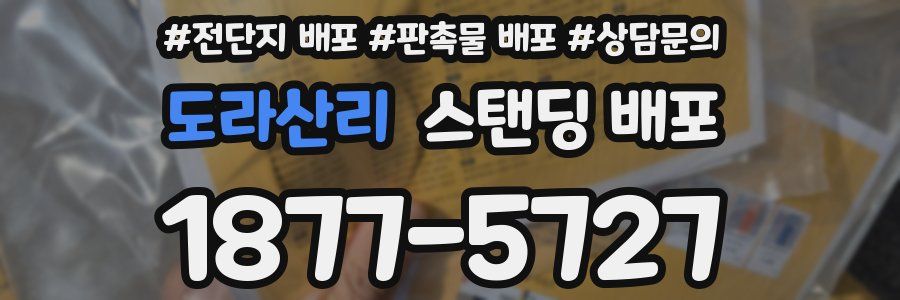 도라산리 스탠딩 배포
