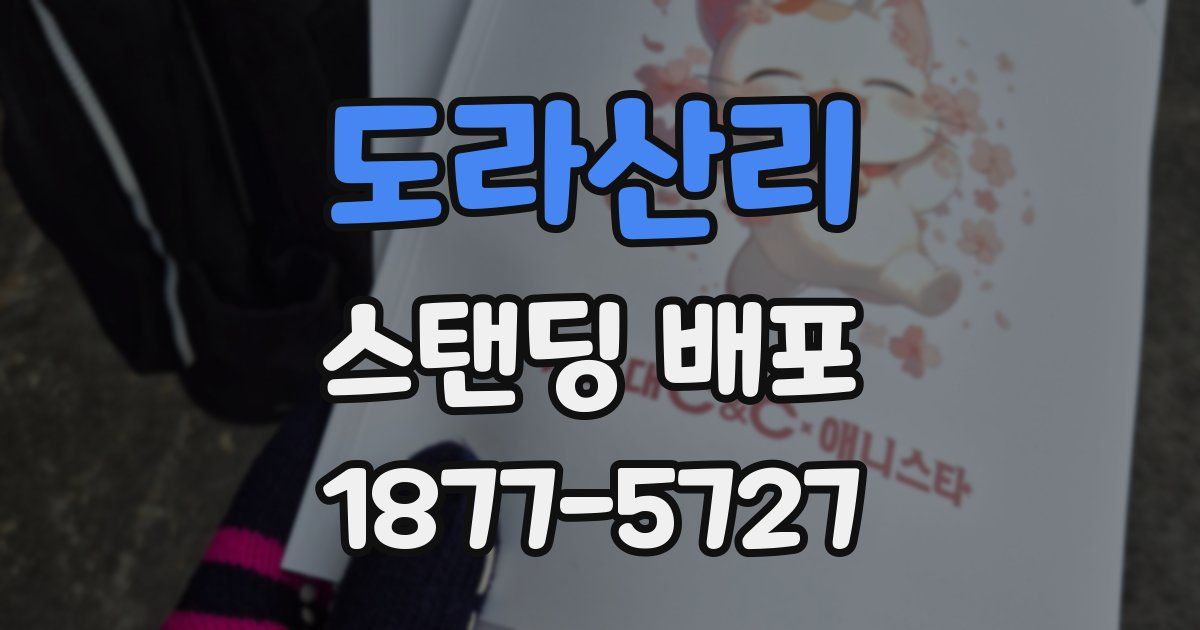 도라산리 스탠딩 배포