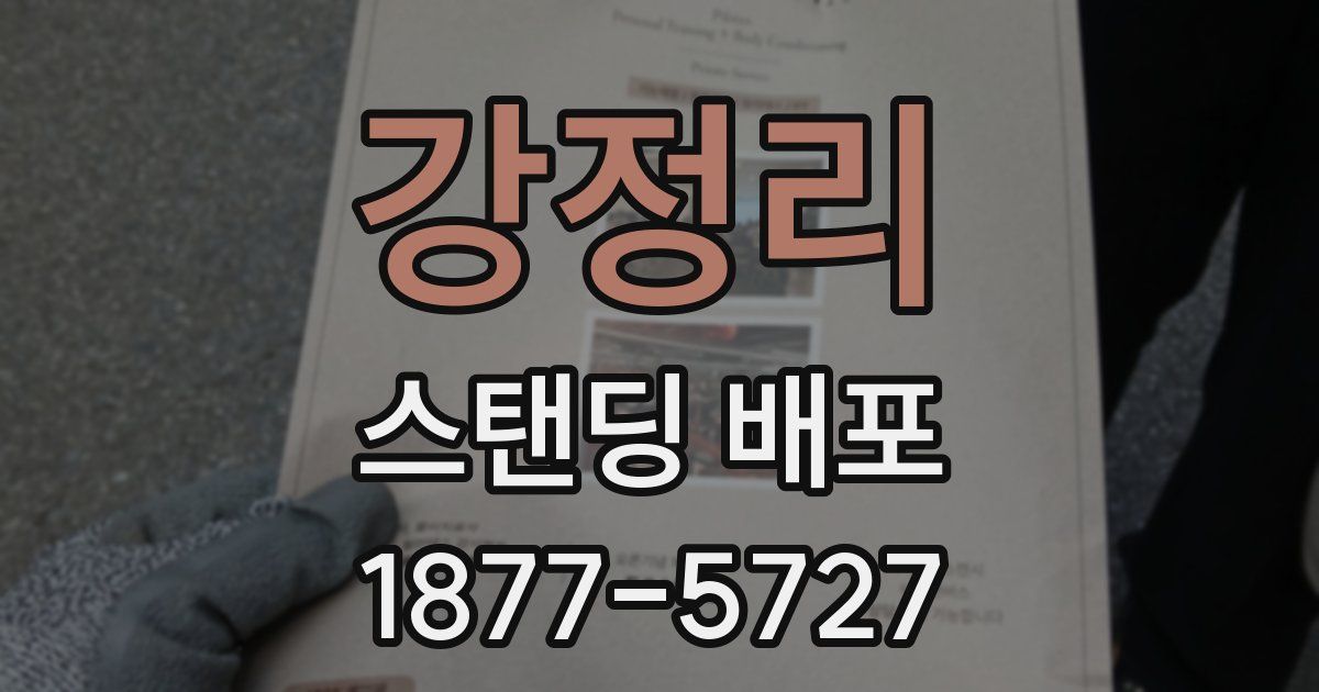 강정리 스탠딩 배포