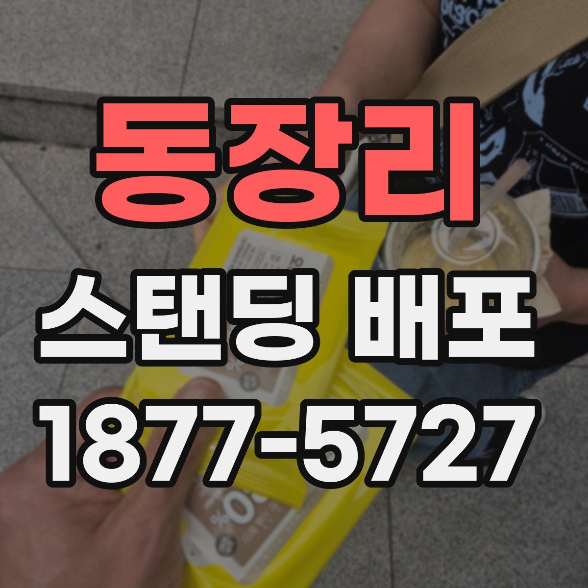 동장리 스탠딩 배포