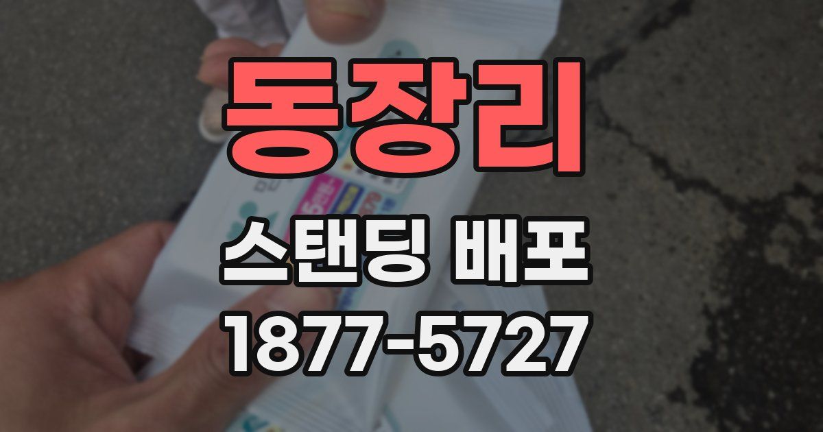 동장리 스탠딩 배포