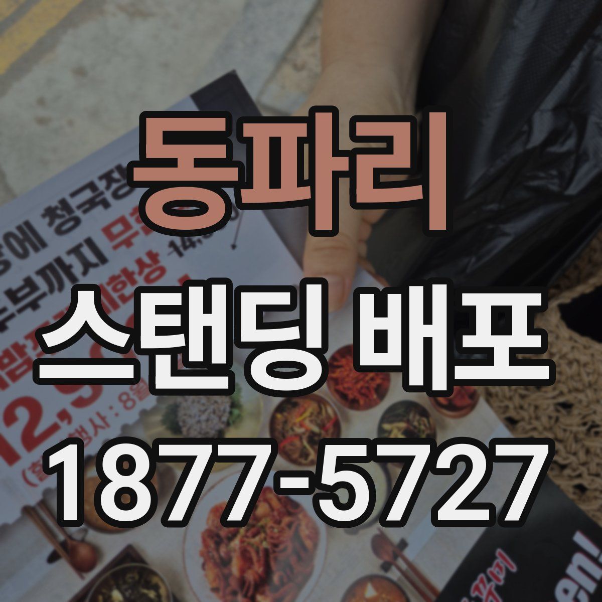 동파리 스탠딩 배포