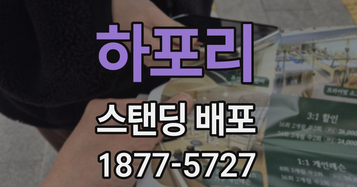 하포리 스탠딩 배포