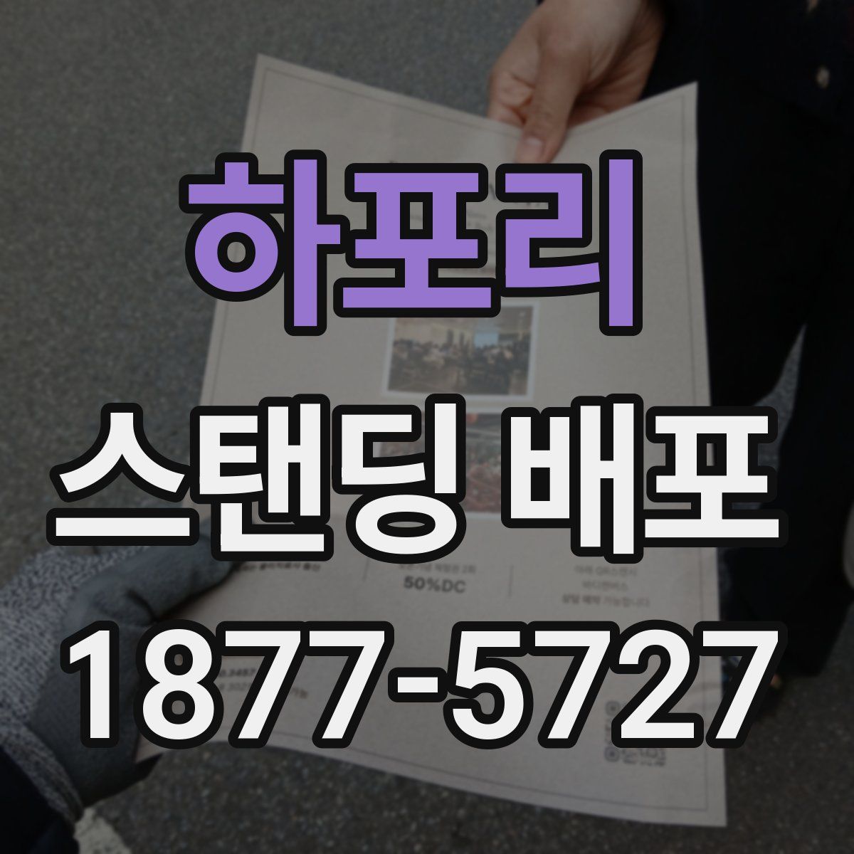 하포리 스탠딩 배포