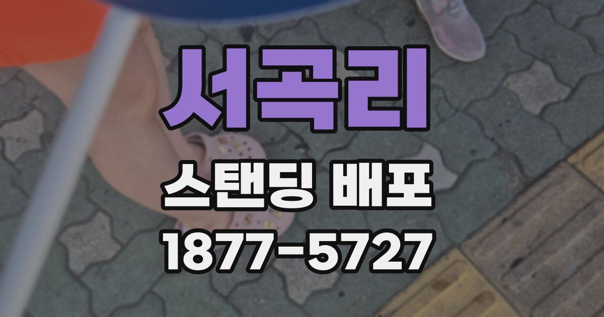 서곡리 스탠딩 배포