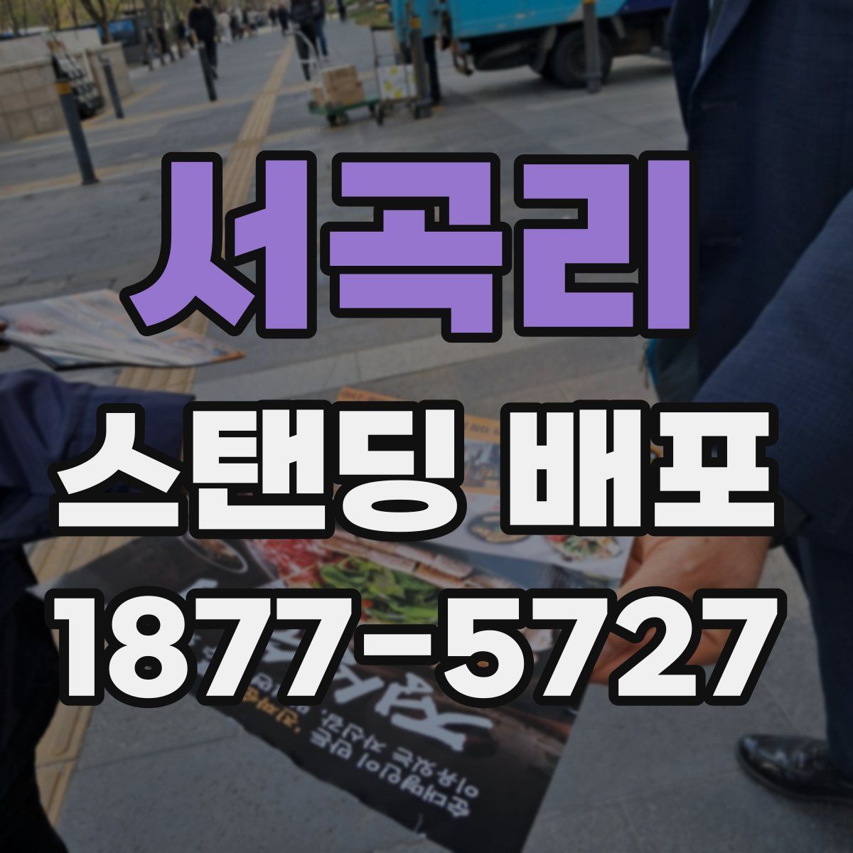 서곡리 스탠딩 배포