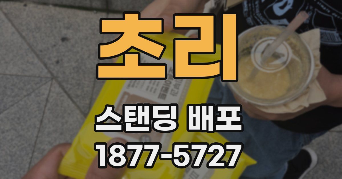 초리 스탠딩 배포