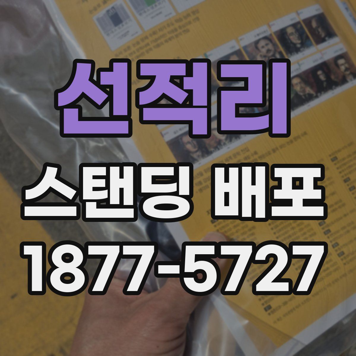 선적리 스탠딩 배포