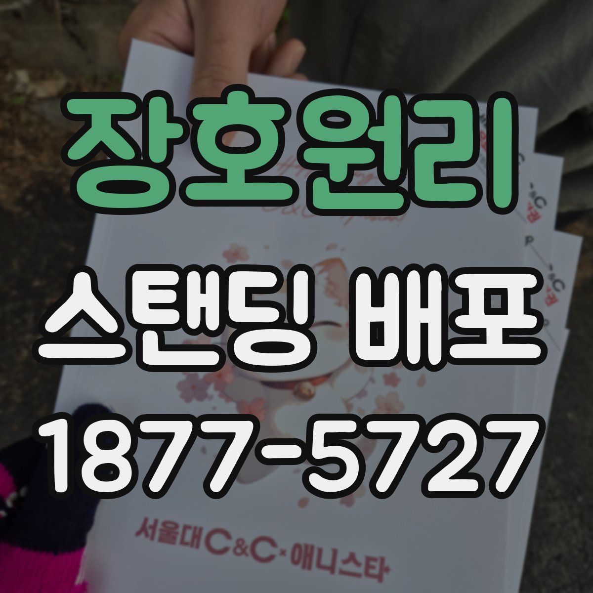 장호원리 스탠딩 배포