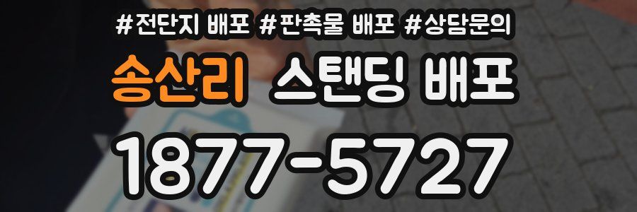 송산리 스탠딩 배포