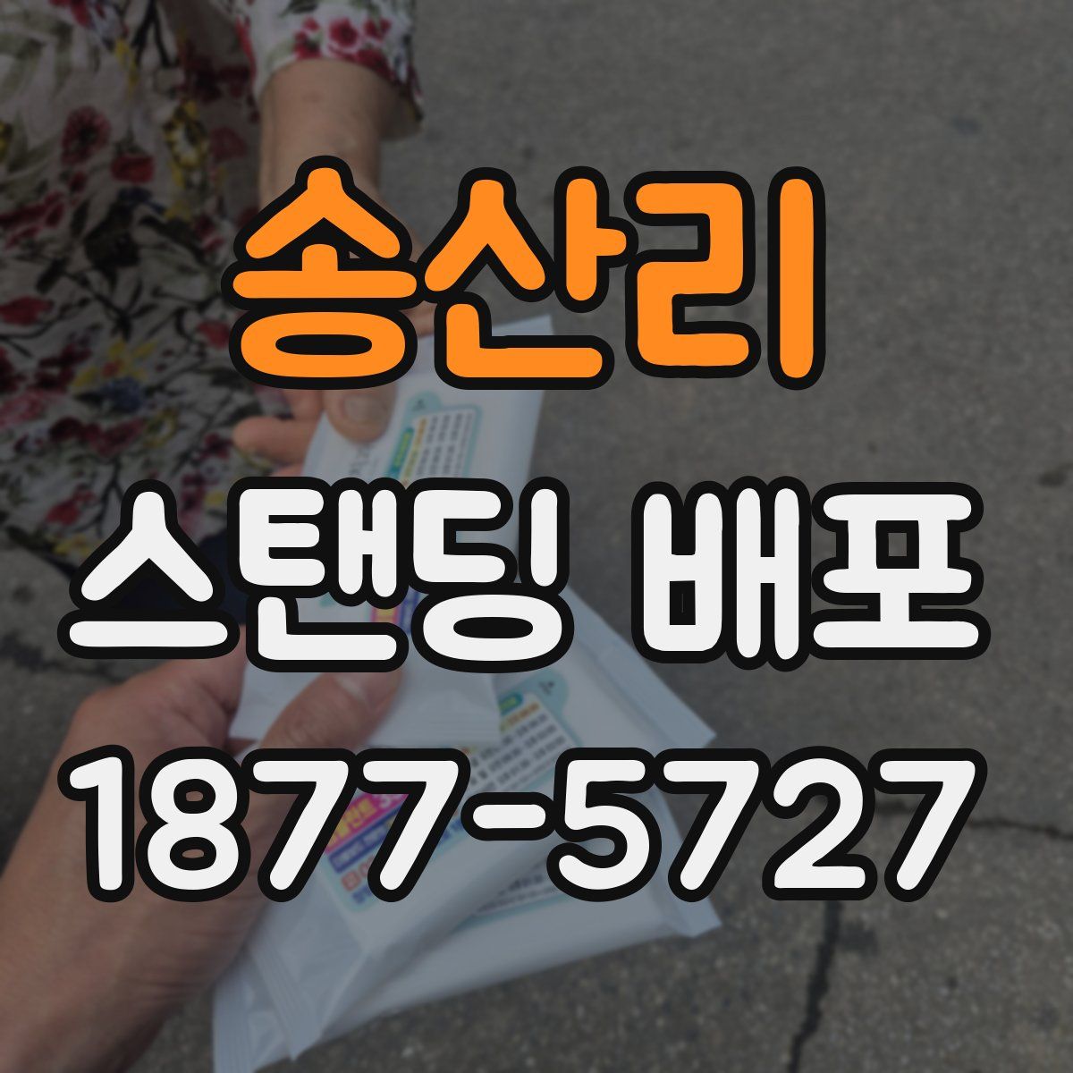 송산리 스탠딩 배포