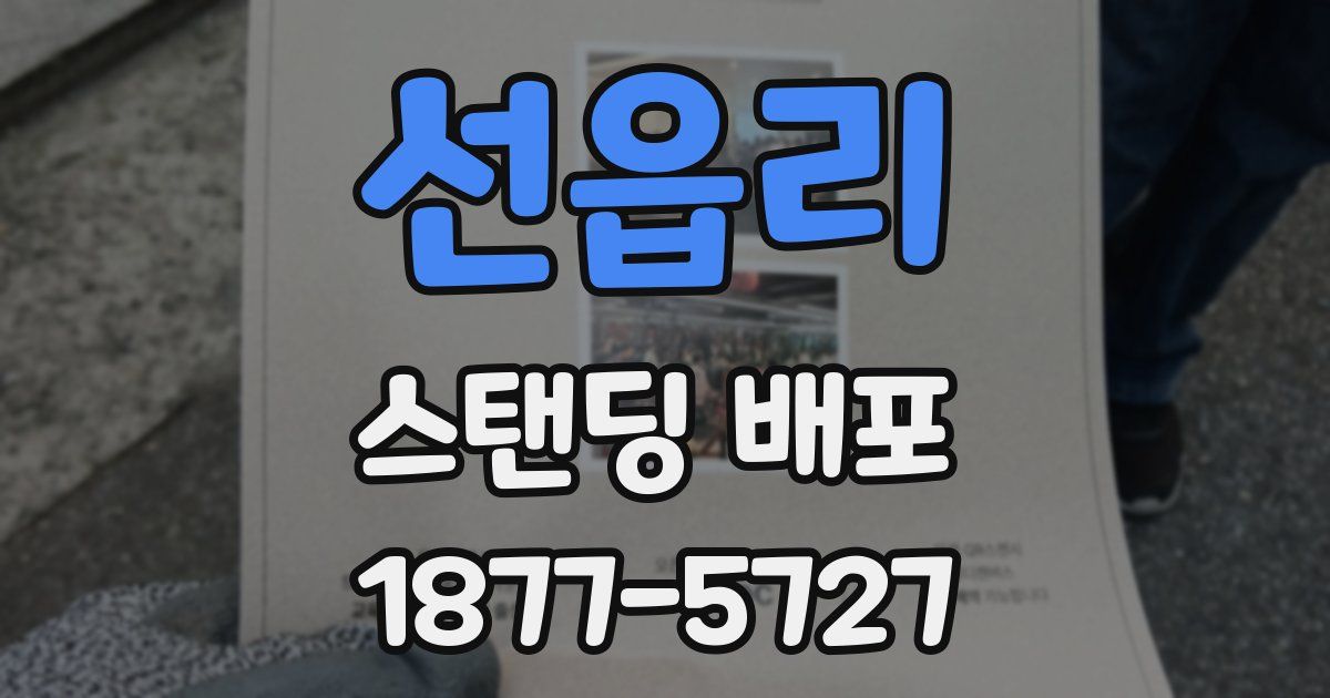 선읍리 스탠딩 배포