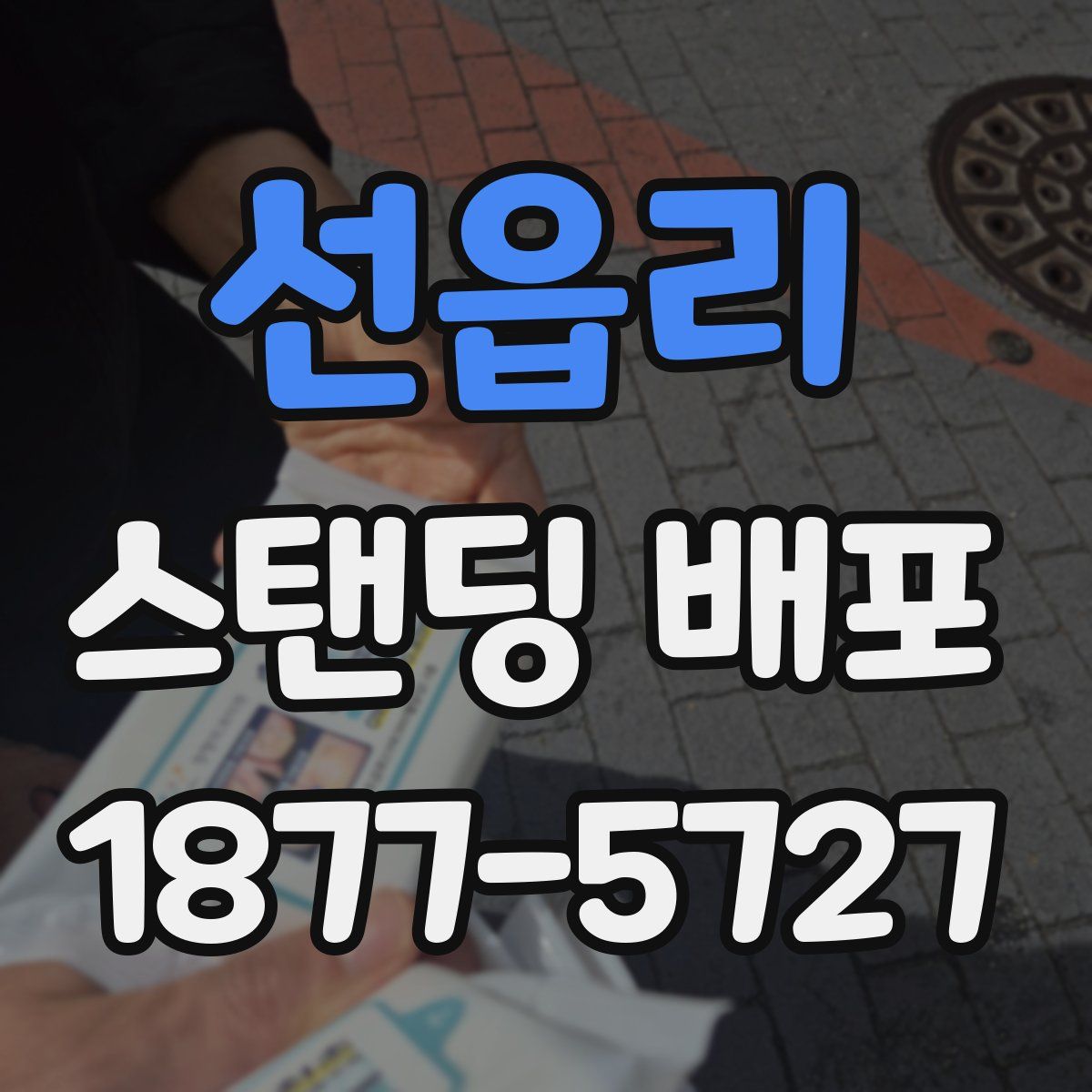 선읍리 스탠딩 배포