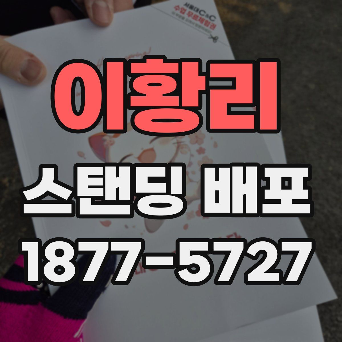 이황리 스탠딩 배포
