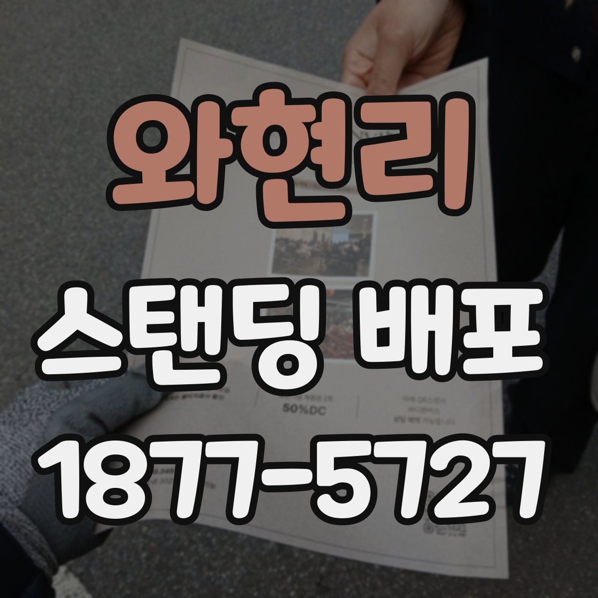 와현리 스탠딩 배포
