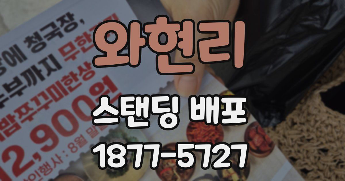와현리 스탠딩 배포