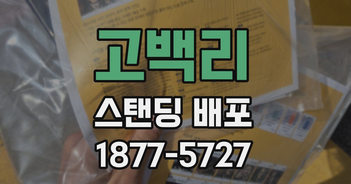 고백리 스탠딩 배포