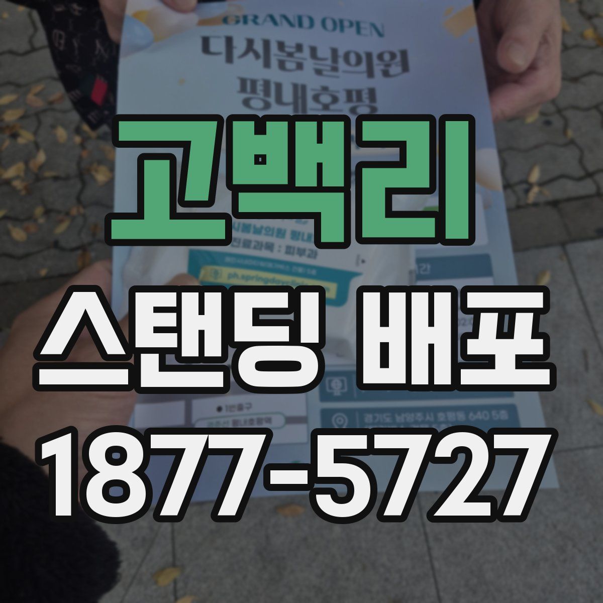 고백리 스탠딩 배포