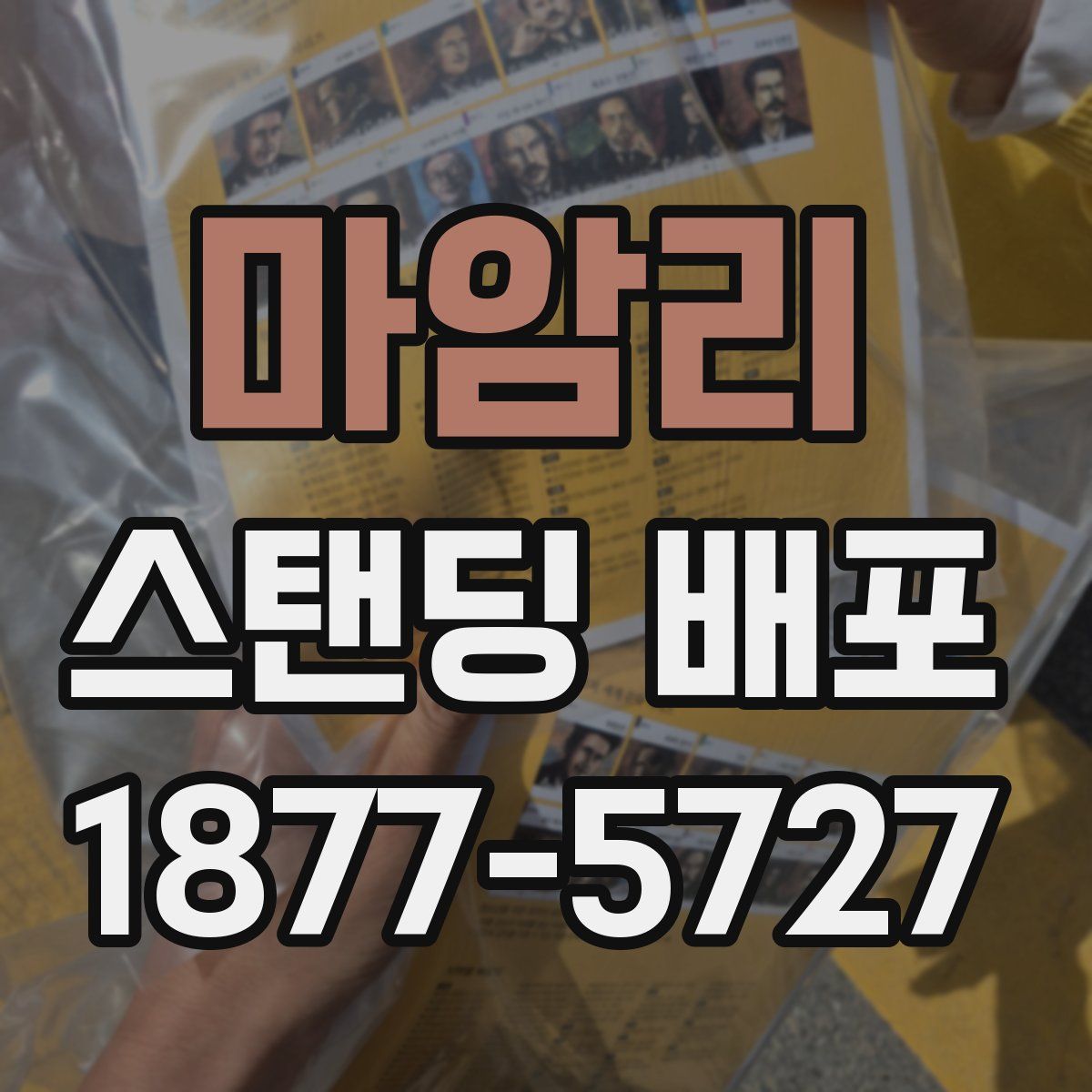 마암리 스탠딩 배포