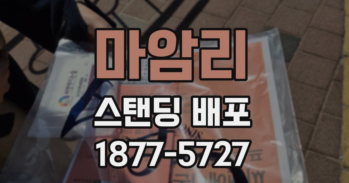 마암리 스탠딩 배포