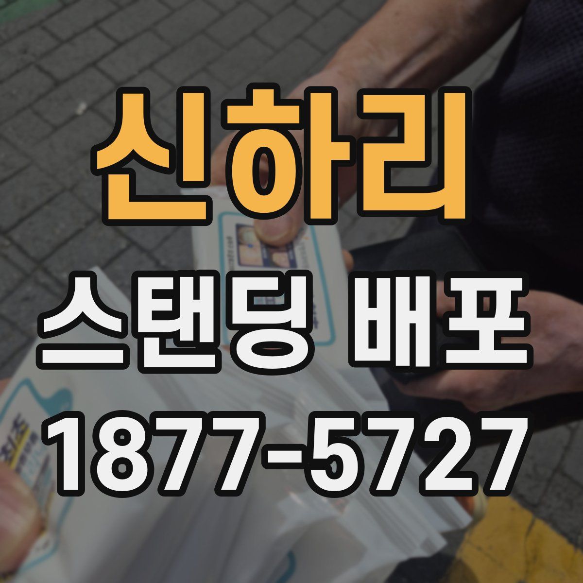 신하리 스탠딩 배포