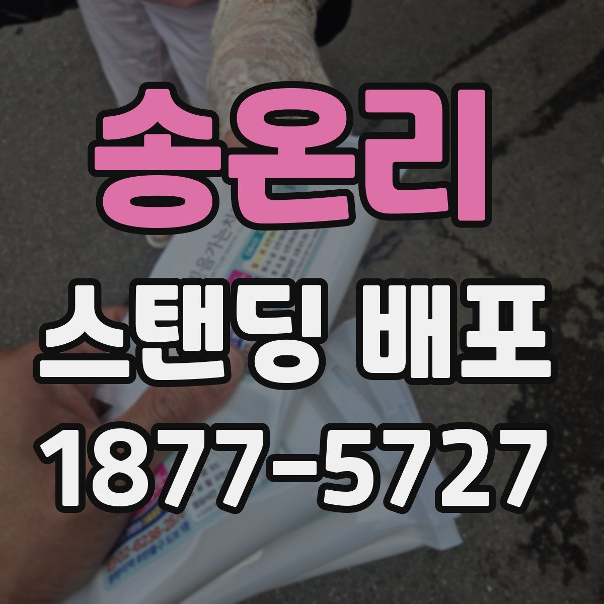 송온리 스탠딩 배포