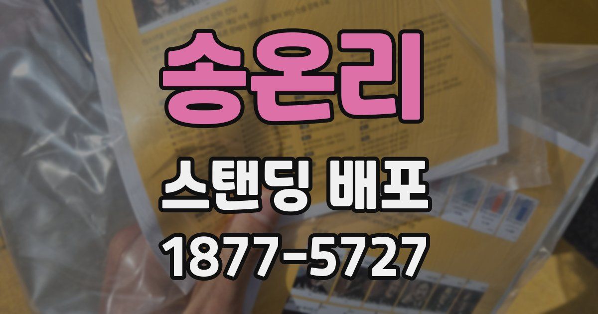 송온리 스탠딩 배포