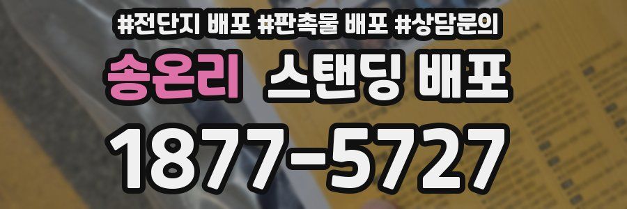 송온리 스탠딩 배포