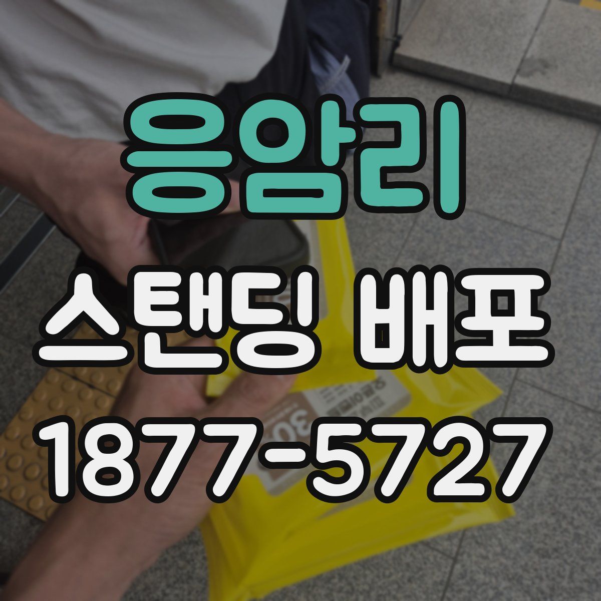 응암리 스탠딩 배포