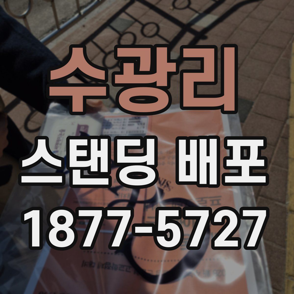 수광리 스탠딩 배포