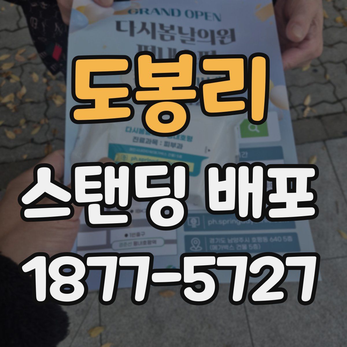 도봉리 스탠딩 배포