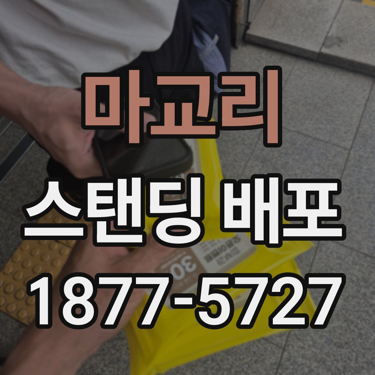 마교리 스탠딩 배포