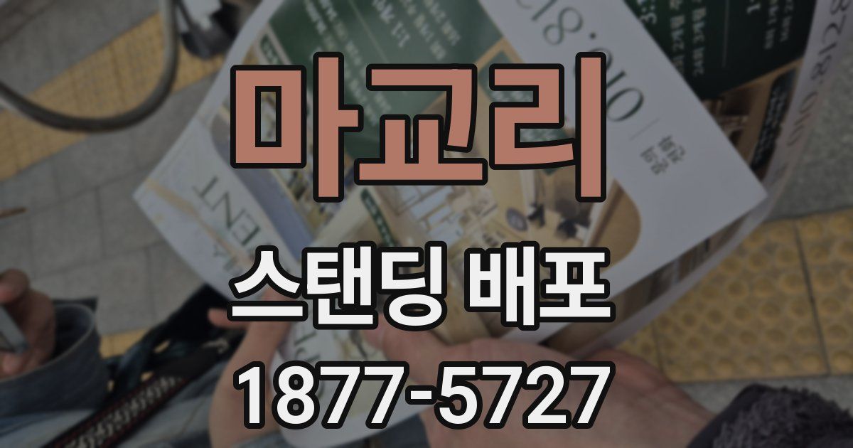 마교리 스탠딩 배포