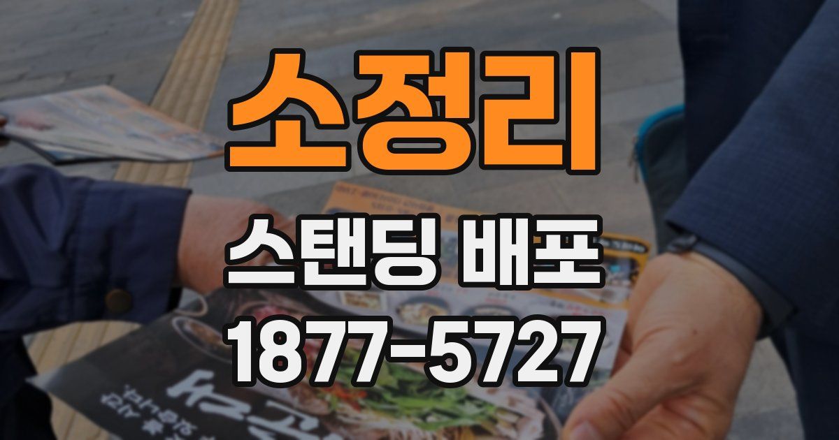 소정리 스탠딩 배포