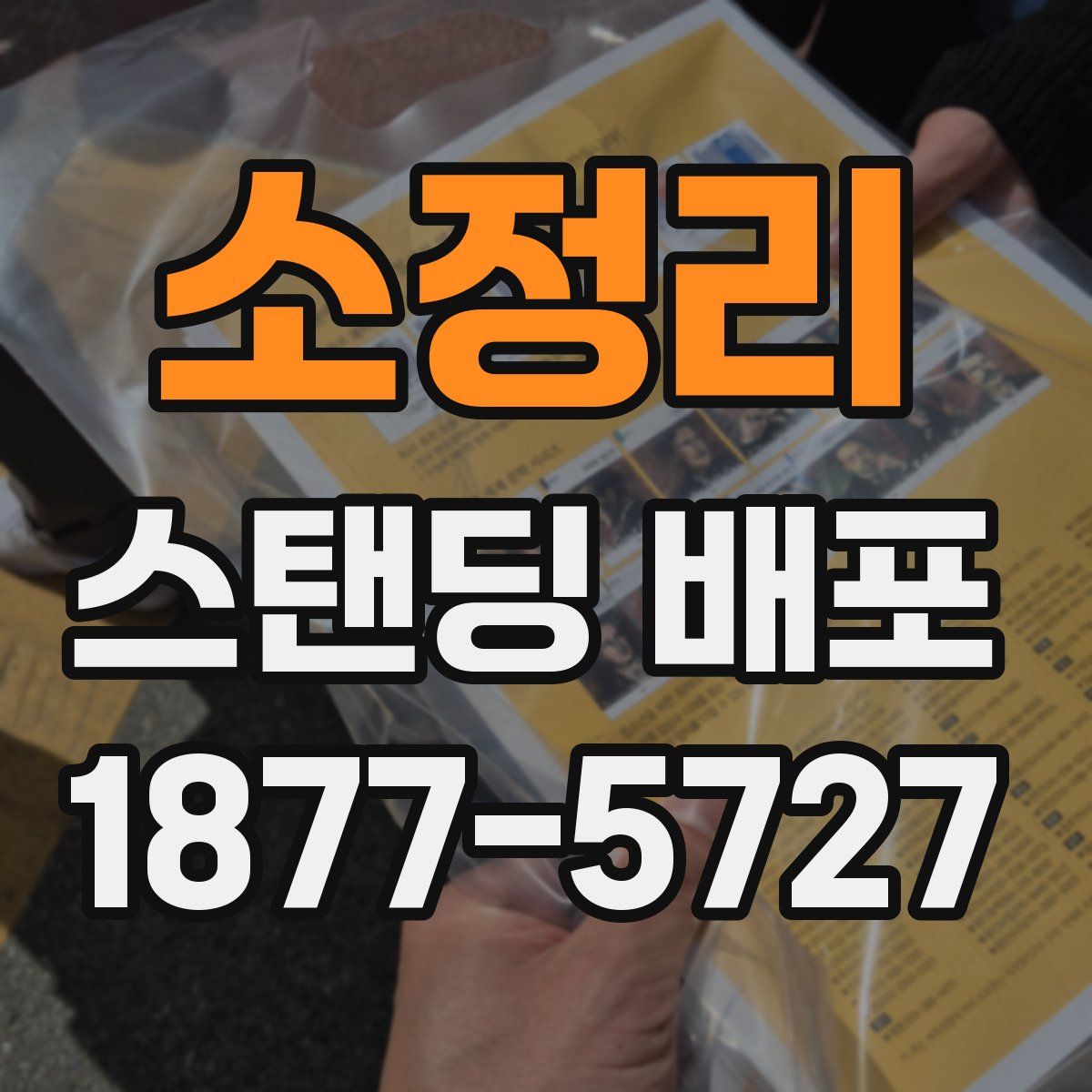 소정리 스탠딩 배포